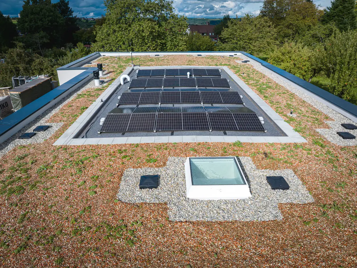 Detailaufnahme eines Flachdachs mit Solarzellen und Dachbegrünung auf einem Gewerbe-Gebäude.