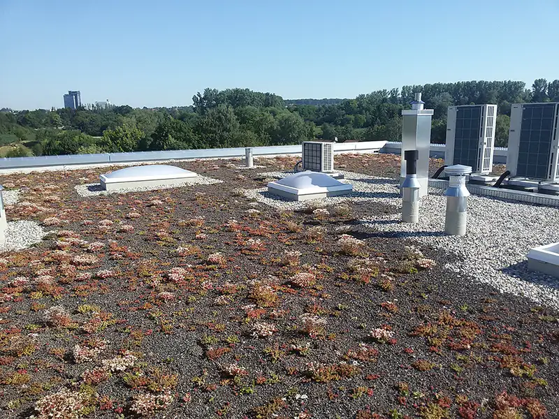 Detailaufnahme eines Flachdachs mit Kies und technischer Dachausrüstung im Industriebau.